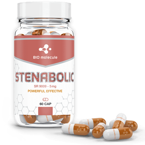 BIO Molecule Stenabolic SR 9009