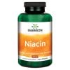 Swanson-Niacin-500-mg Swanson Niacin 500 mg