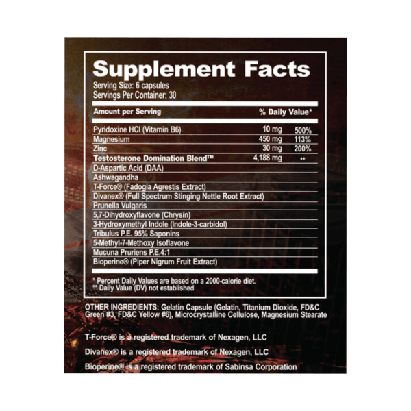 APOCALYPSE LABZ Day Of Reckoning