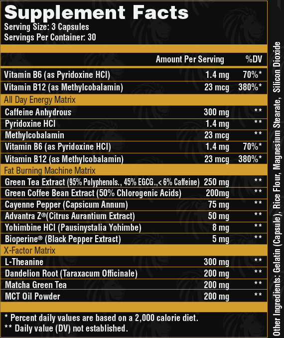 Alpha-Lion-Alpha-Shredder-Inhaltsstoffe-Facts Alpha Lion Alpha Shredder Inhaltsstoffe Facts