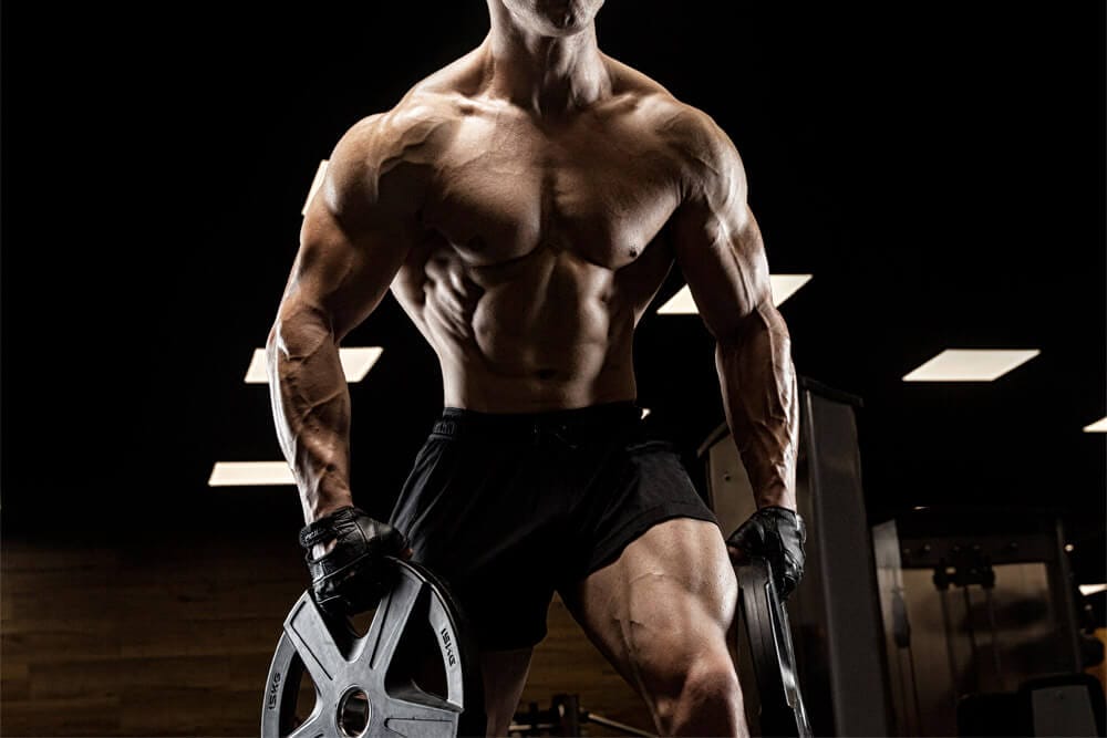 SARMs kombinieren – Optimale SARM-Stacks